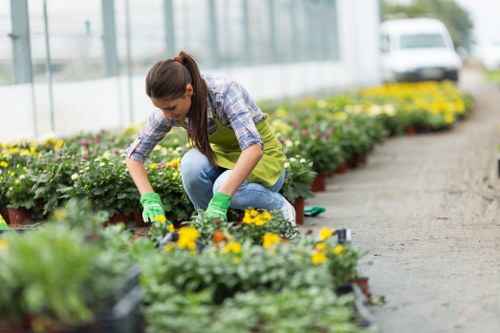 Gardeners working in a New Cross garden with layered planting