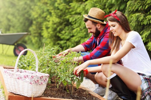 Garden waste sorting and recycling in New Cross