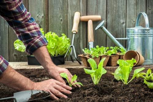 Seasonal garden maintenance work in a New Cross property