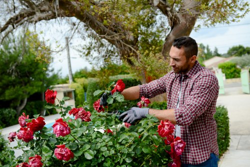 Initial step in a gardening complaints procedure