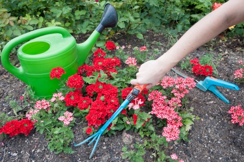 Zero-tolerance policy statement for Gardeners New Cross