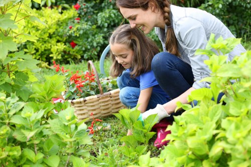 A vibrant residential garden in New Cross cared for by local gardeners
