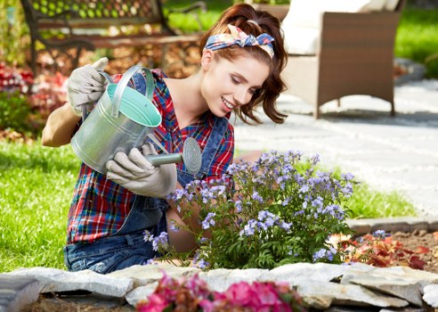 Spring lawn treatment and grass repair in New Cross