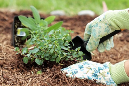 User control settings for managing cookies on Gardeners New Cross website