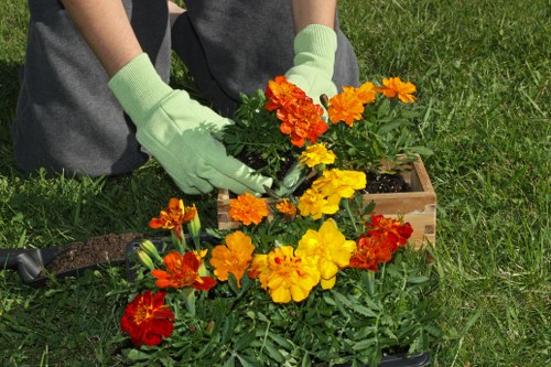 Assessing a gardening issue during complaint handling
