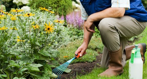 Professional lawn care for New Cross outdoor spaces