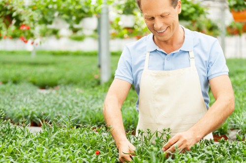 Accessibility support for gardeners in the New Cross area
