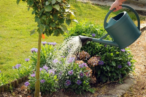 WCAG 2.1 AA focused accessibility statement for Gardeners New Cross