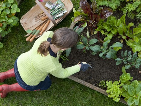 Garden booking and quotation process illustration