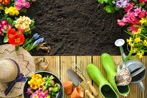 Garden clearance and green waste removal in a New Cross home