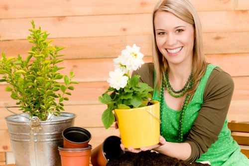 Garden care in New Cross with a balanced and attractive outdoor space