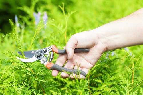 Terms covering liability and cancellations for garden services