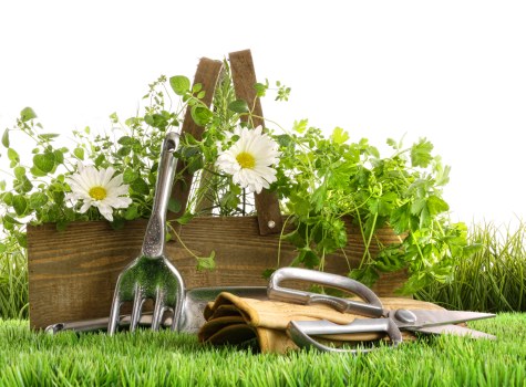 Low-carbon van used for sustainable garden collections