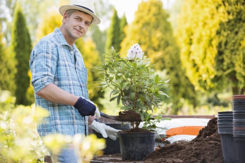Lawn care and edging in a New Cross garden