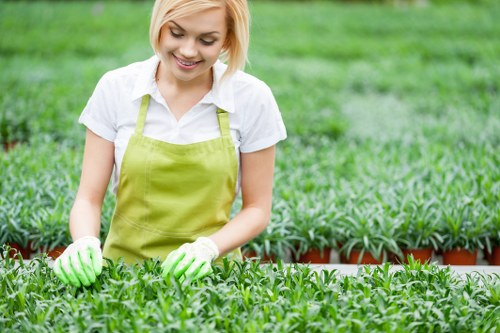 Professional gardening care improving a small New Cross outdoor space