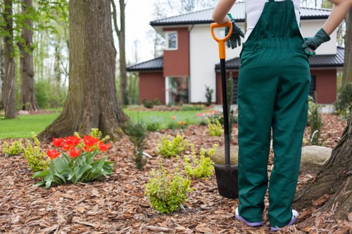 Safe gardening equipment checks and tool handling by New Cross gardeners