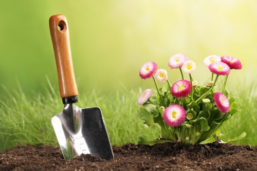 Local hedge maintenance in New Cross for tidy outdoor spaces