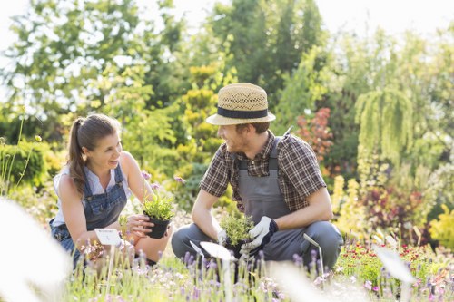 Local transfer station handling green waste near New Cross