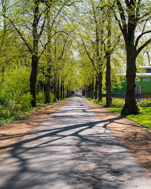 A straight, paved pathway lined with mature trees on both sides, their branches arching overhead and casting intricate shadows on the ground. The trees have fresh, bright green leaves indicating sprin