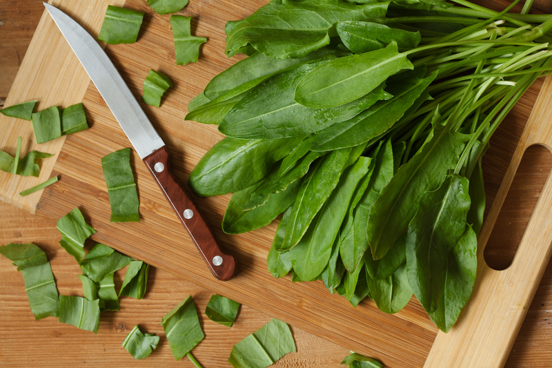 garden design landscape design